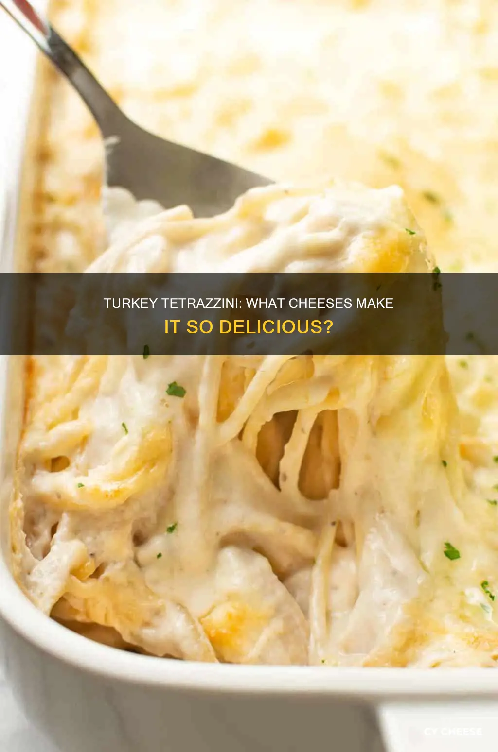 what kind of cheese is in turkey tetrazzini