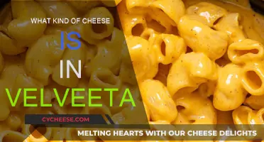 Velveeta's Cheese: A Mystery Unveiled