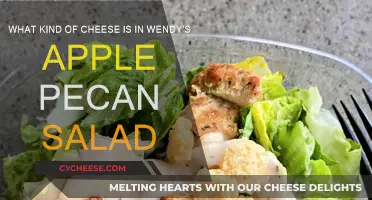 Wendy's Apple Pecan Salad: What's the Cheese?