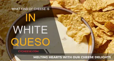 White Queso: What Cheeses Make This Dish?