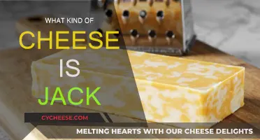 Jack Cheese: A Classic American Staple Explained