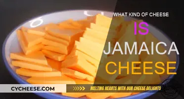 Jamaican Cheese: A Unique, Spicy Treat