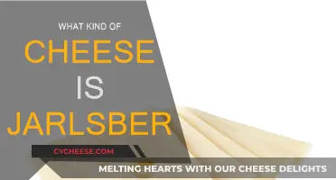 Jarlsberg Cheese: A Swiss-Norwegian Masterpiece Explained