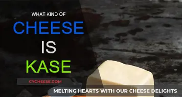 Kase Cheese: A Unique German Delicacy Explained