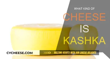 Kashkaval Cheese: A Tasty Variety of Eastern Mediterranean