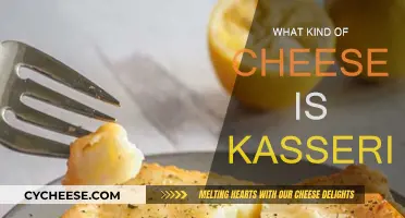 The Mystery of Kasseri: A Cheesy Enigma Explained