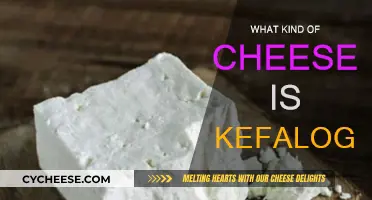 Kefalograviera Cheese: A Greek Sheep's Milk Wonder