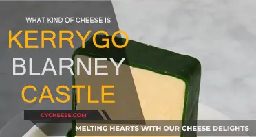 Kerrygold Blarney Castle Cheese: A Tasty Irish Legend