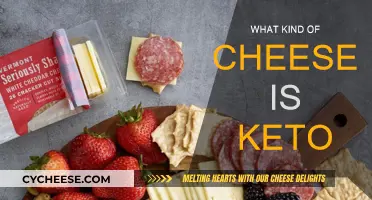 Keto-Friendly Cheeses: Best Types and Brands for Your Diet