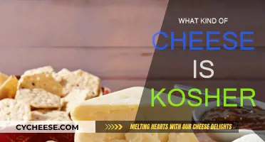 Kosher Cheese: Understanding the Speciality of Jewish Diet