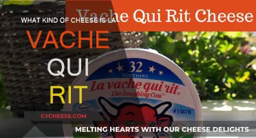 La Vache Qui Rit: A Laughing Cow Cheese