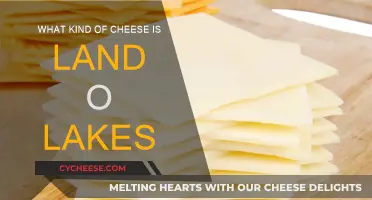 Land O' Lakes Cheese: A Comprehensive Overview