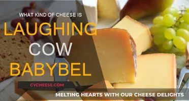 The Laughing Cow and Babybel: What's the Cheese Connection?