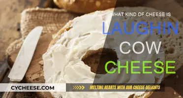 The Laughing Cow: Creamy, Soft Cheese Delights