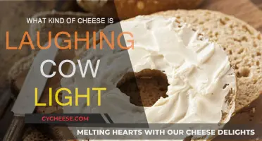 The Laughing Cow Light: A Healthy Cheese Option?