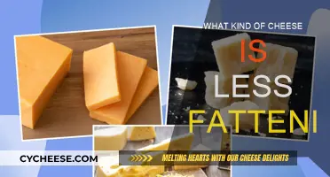 Cheese and Diet: Best Low-Fat Varieties