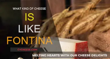 Cheeses Similar to Fontina: A Comprehensive Guide