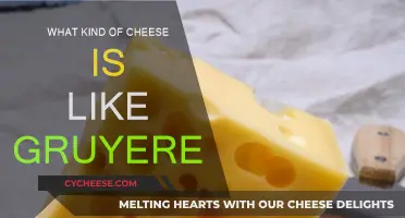 Cheeses Similar to Gruyère: A Comprehensive Guide