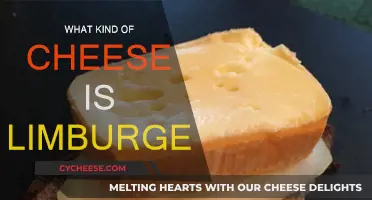 The Stinky Story Behind Limburger Cheese