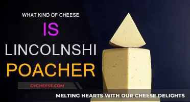 Lincolnshire Poacher: A Hard Cheese with a Complex Flavor