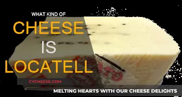 Locatelli Cheese: A Distinctive Italian Classic Explained