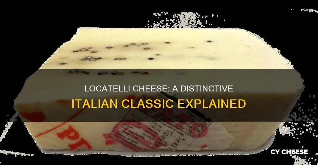 what kind of cheese is locatelli