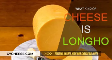 Longhorn Cheese: A Unique, Tangy Flavor Experience