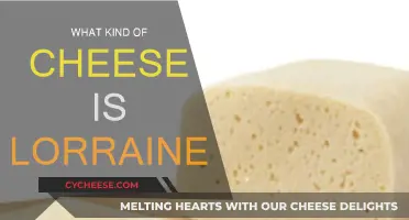 Discover the Secrets of Lorraine Cheese