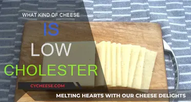 Cheese and Cholesterol: Low-Cholesterol Cheese Options