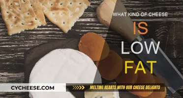 Cheese and Low-Fat Diets: What's the Best Match?