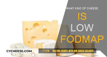 Low FODMAP Cheeses: Enjoy Dairy Without Discomfort