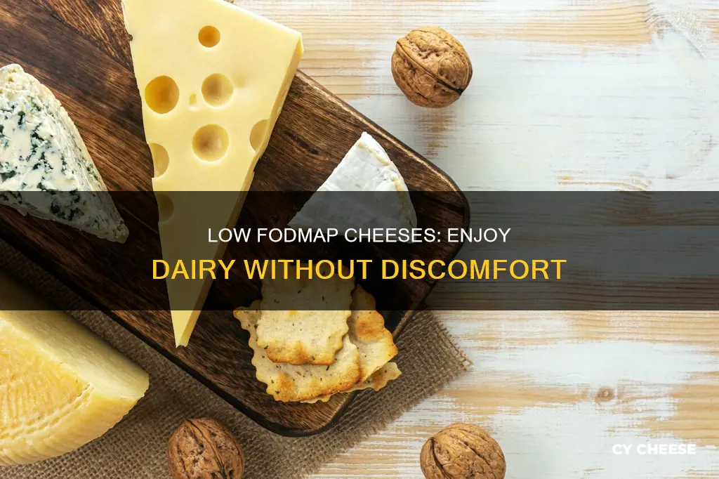 what kind of cheese is low fodmap