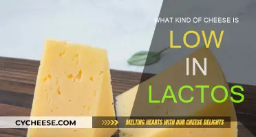 Cheese and Lactose Intolerance: Low-Lactose Cheese Options