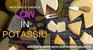 Cheese and Potassium: Which Cheeses are Low-Potassium?