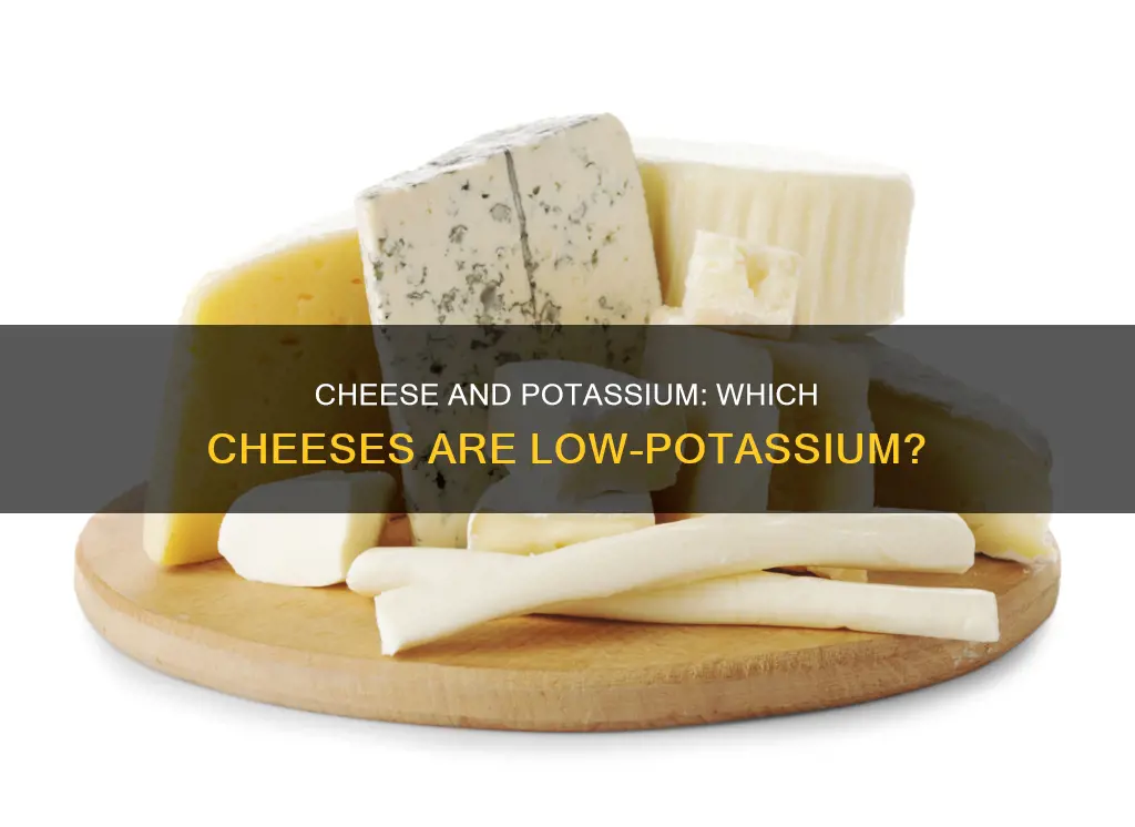 what kind of cheese is low in potassium