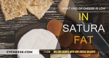 Best Low-Fat Cheeses: Healthy Options for Cheese Lovers