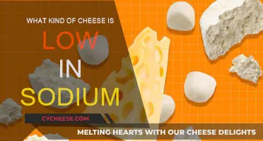 Cheese and Sodium: Low-Salt Options