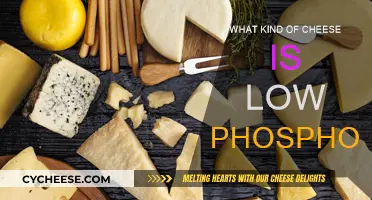 Cheese and Phosphorus: What's the Safest Choice?