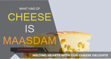 Maasdam Cheese: A Mild, Sweet, and Nutty Delight