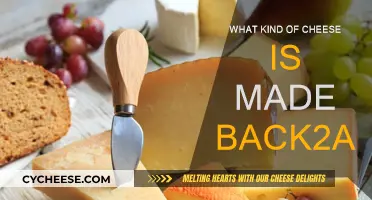 Back2atds: Unraveling the Mystery of This Unique Cheese