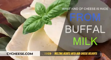 Buffalo Milk Cheese: Mozzarella and Beyond