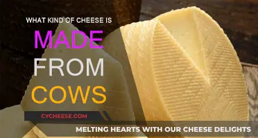 Cheese Varieties: Cow Milk's Versatile Transformation