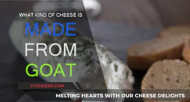 Goat Cheese: Varieties and Their Unique Characteristics