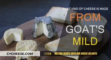 Goat's Milk Cheese: A Tangy Treat