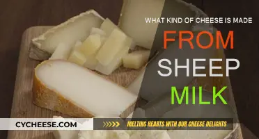 Sheep Milk Cheese: Exploring Unique, Delicious Varieties