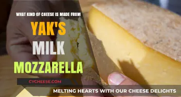 Yak's Milk Mozzarella: A Unique, Creamy Cheese Adventure