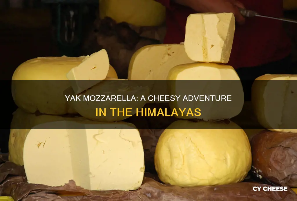 what kind of cheese is made from yak
