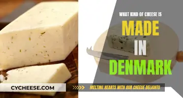 Explore Denmark's Cheese Specialties: A Cultural Delicacy