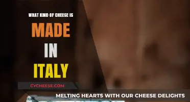 Exploring Italy's Cheesy Delights: A Guide to Regional Cheeses