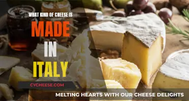 The Ultimate Guide to Italy's Cheese Varieties